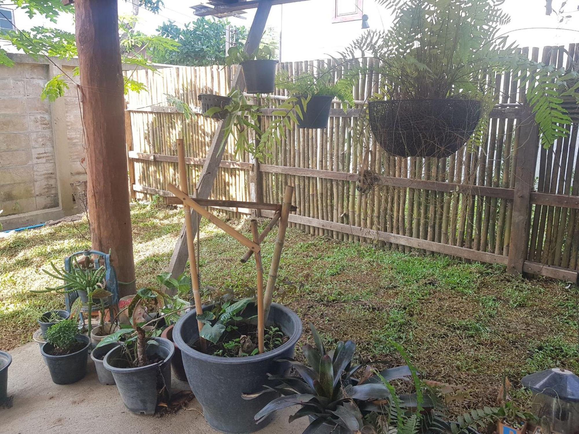 Kedthawa Homestay เฮือนเก็ดถะหวา Ban Cho Lae Buitenkant foto