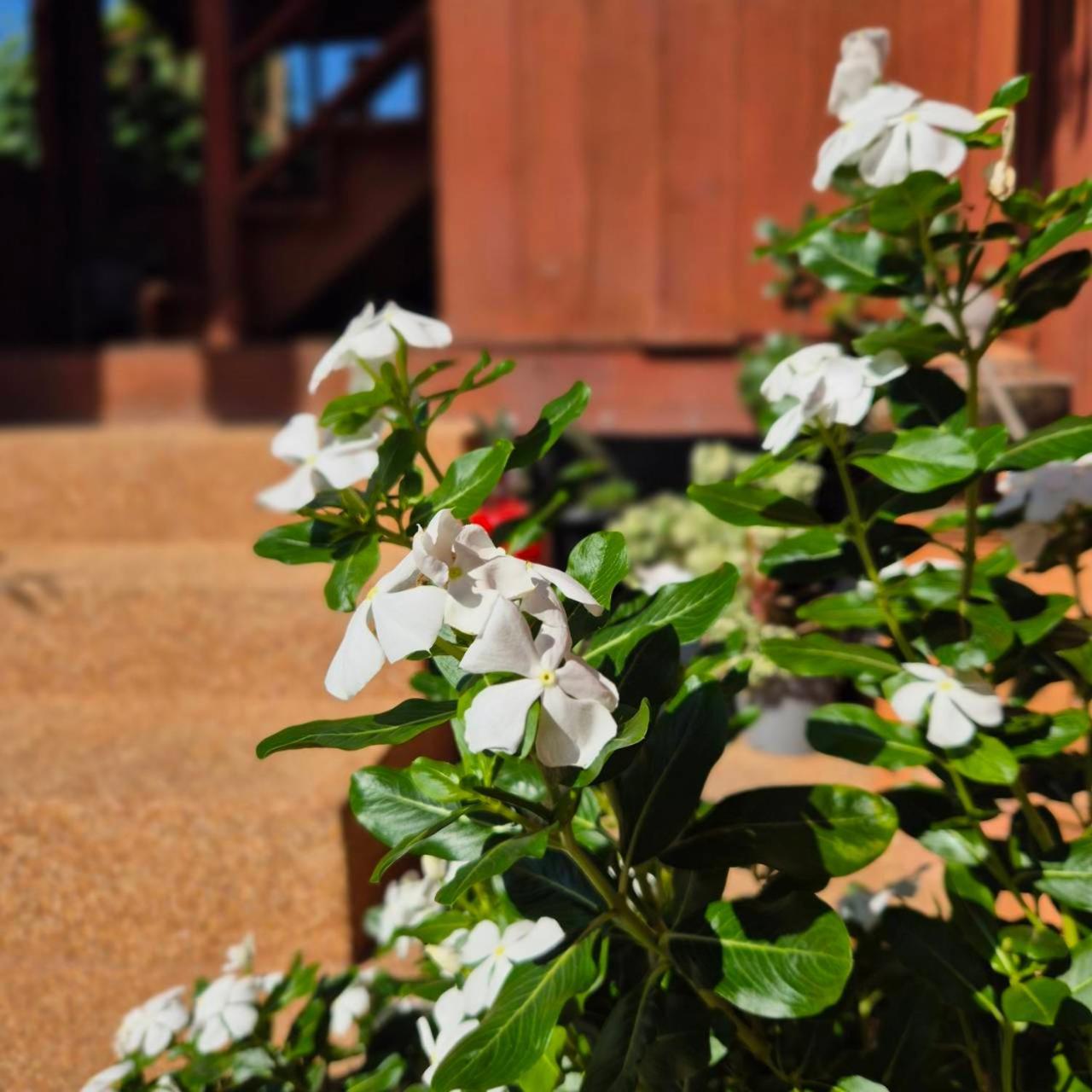 Kedthawa Homestay เฮือนเก็ดถะหวา Ban Cho Lae Buitenkant foto